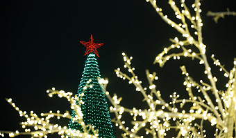 Эксперты назвали распространенные предновогодние схемы мошенничества