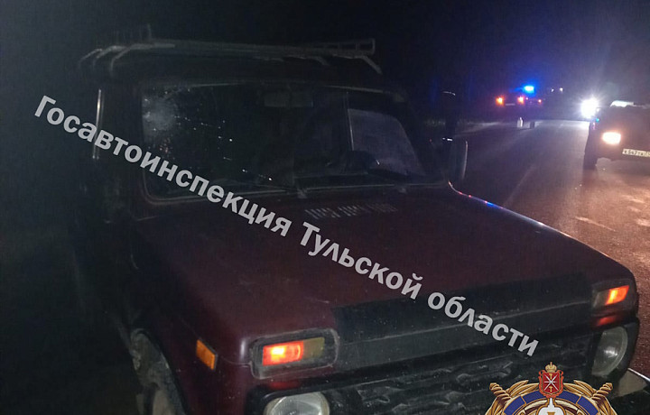 В Дубенском районе насмерть сбили 73-летнюю пенсионерку