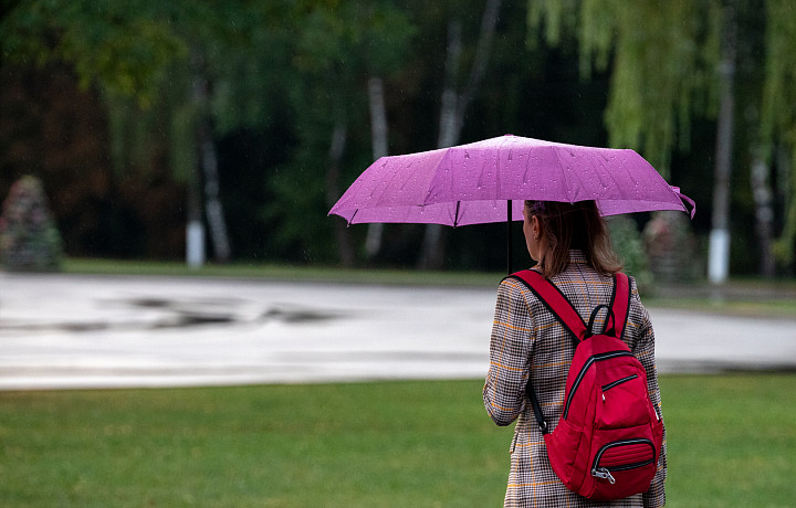 То тепло, то прохладно и дождливо: будет ли еще жарко в Тульской области, и какую погоду принесет нестабильный июнь