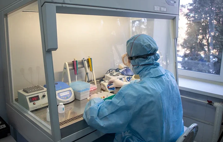 Вирусологи рассказали, может ли верблюжий грипп добраться до Тульской области