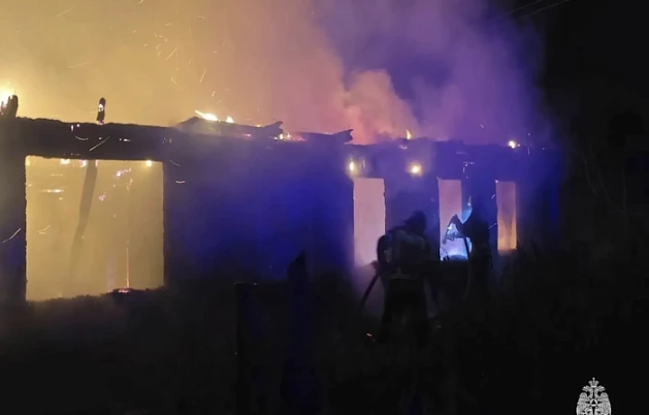 В ночном пожаре в доме в Новомосковске погиб мужчина