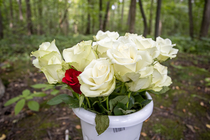 Фоторепортаж из Тесницого леса: как выглядит расстрельный полигон под Тулой