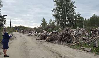 В Белеве прокуратура обнаружила незаконную свалку на улице Гагарина