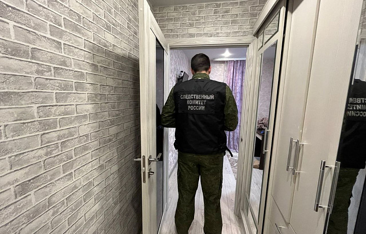 ﻿Стала известна причина убийства маленького ребенка в Туле: судить будут его отца