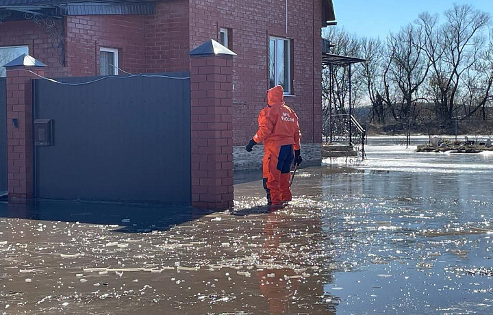 В Ефремове сотрудники МЧС помогли женщине выбраться из дома, участок перед которым затопило из-за половодья