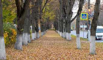 Пасмурно и без осадков: о погоде в Туле 11 и 12 октября
