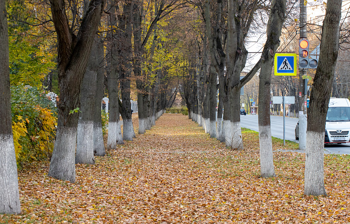 Пасмурно и без осадков: о погоде в Туле 11 и 12 октября