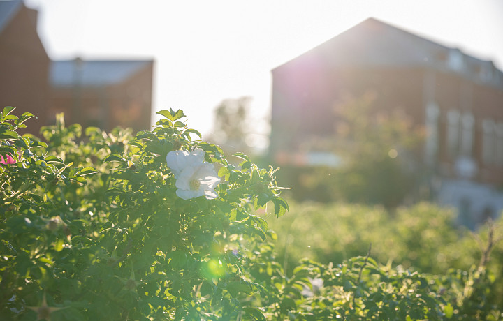 В Щекинском районе привели в порядок детсад и библиотеку по проекту «Народный бюджет»