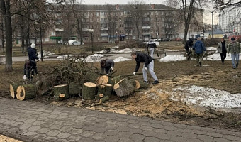 Более 7 тысяч туляков вышли на первый общегородской субботник