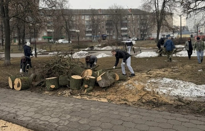 Более 7 тысяч туляков вышли на первый общегородской субботник