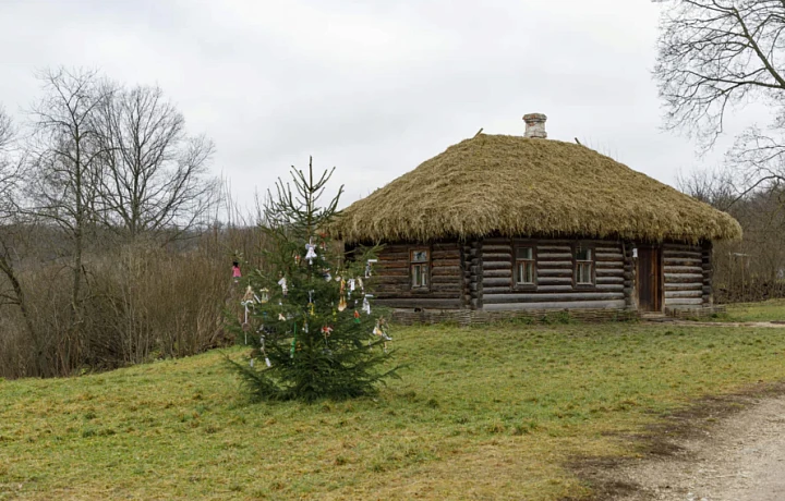 В музее-усадьбе «Ясная Поляна» состоялось праздничное украшение елки возле Кучерской избы