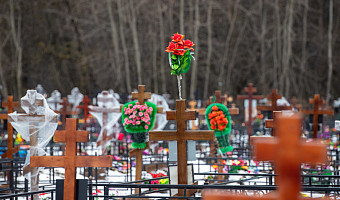 Сохранить спокойствие: где в Туле появятся новые кладбища