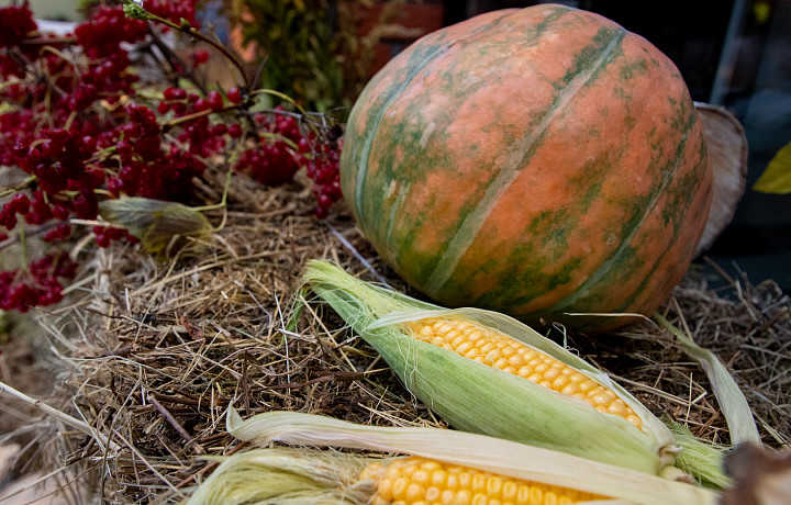 Народные приметы 18 января: почему нужно есть одни овощи в Крещенский сочельник