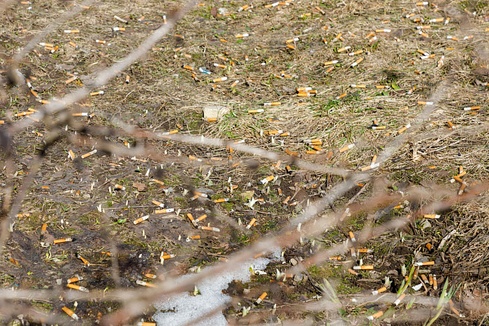 Идет – бычок валяется: фоторепортаж с улиц Тулы, от которого хочется прокашляться