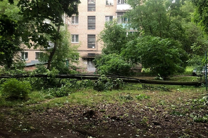 Ураган в Алексине снес крышу здания и сломал многолетнее дерево