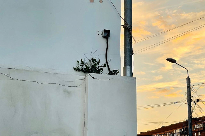 Эксперт рассказал, чем опасны березы, растущие на крыше