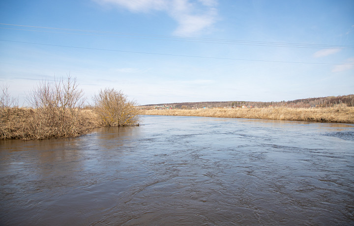 Пик половодья в Тульской области. Река Упа в Киреевском районе выросла больше чем на метр