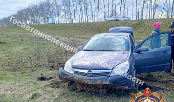 Из-за обгона тулячка слетела в кювет на трассе в Венёвском районе