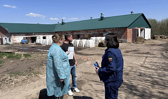 Предприятие в Заокском районе проверяют из-за разлива отходов животноводства