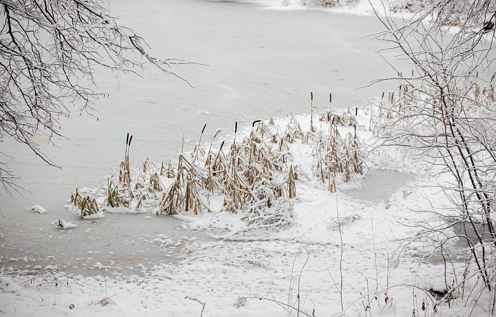 23 февраля: какой праздник отмечают сегодня, этот день в истории России и Тулы