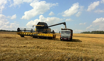 В Щекинском районе обмолочено 44,5% зерновых и зернобобовых культур