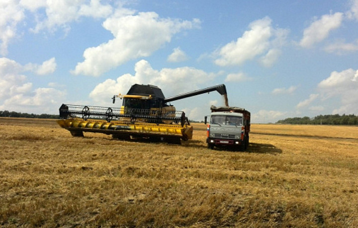 В Щекинском районе обмолочено 44,5% зерновых и зернобобовых культур
