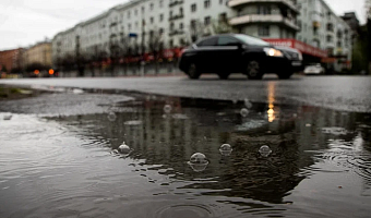 Дожди, туман и потепление до +5 градусов: погода в Туле на 22 ноября
