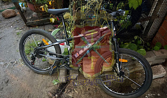 Полицейские раскрыли кражу велосипеда в Суворове