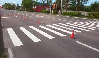 В Туле обновили разметку на 220 пешеходных переходах