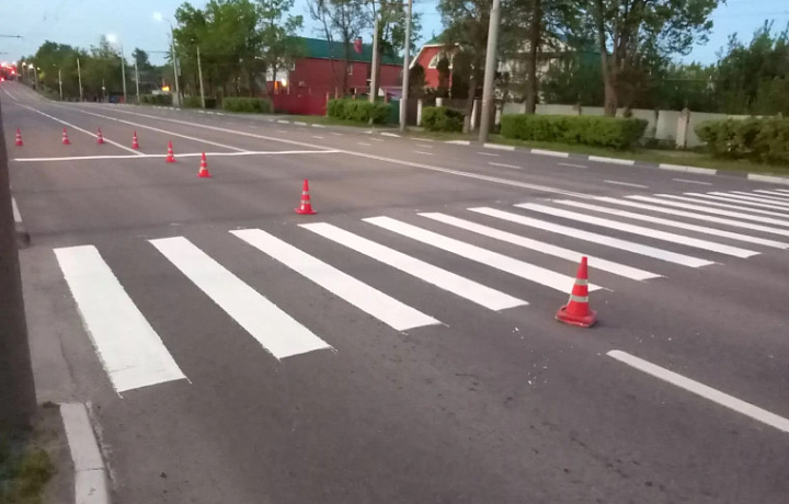 В Туле обновили разметку на 220 пешеходных переходах