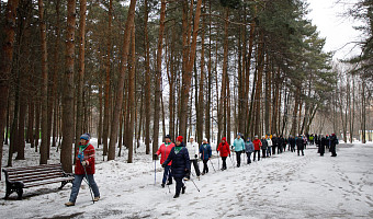 Тульская область попала в топ-10 регионов по приверженности ЗОЖ