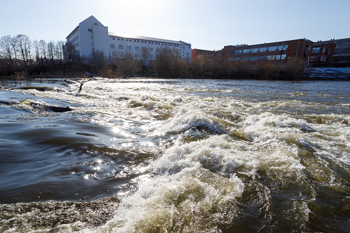 Пролетарская набережная в Туле вот-вот уйдет под воду: пик паводка возможен уже на следующей неделе