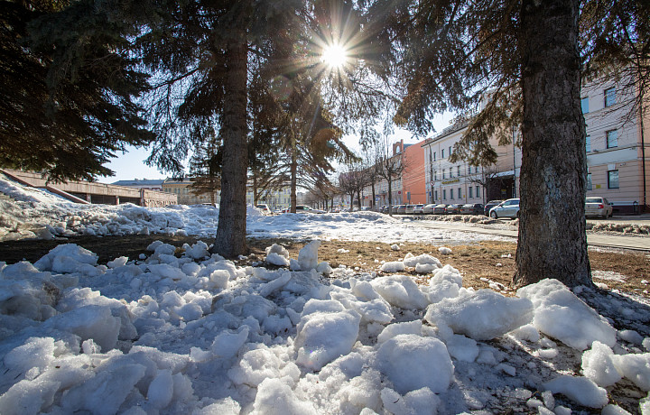 Много солнца, потеплеет до +4 градусов: синоптик Ильин рассказал, какая погода ожидается в Тульской области в начале весны