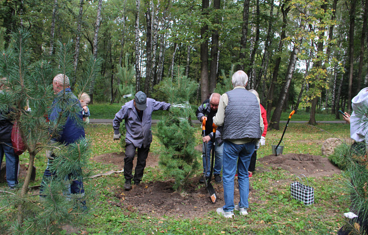 В тульских парках в 2025 году высадили более 1600 деревьев и кустарников