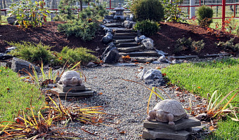 В Центральном парке Тулы обустроили сад камней в восточном стиле