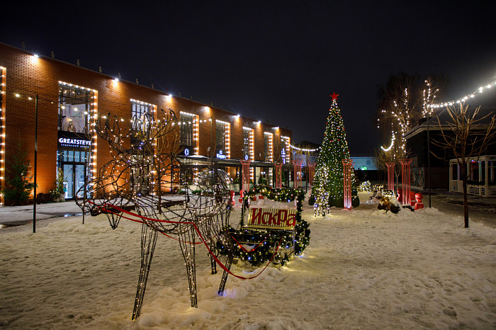 Где сделать красивые новогодние фотографии в Туле