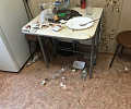 «Уехал и наложил пять куч»: какие сюрпризы ждут владельцев квартир, сдающих жилье в аренду