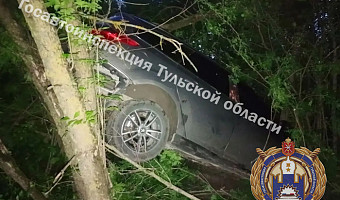 Нетрезвая женщина на иномарке слетела в кювет и врезалась в дерево под Тулой