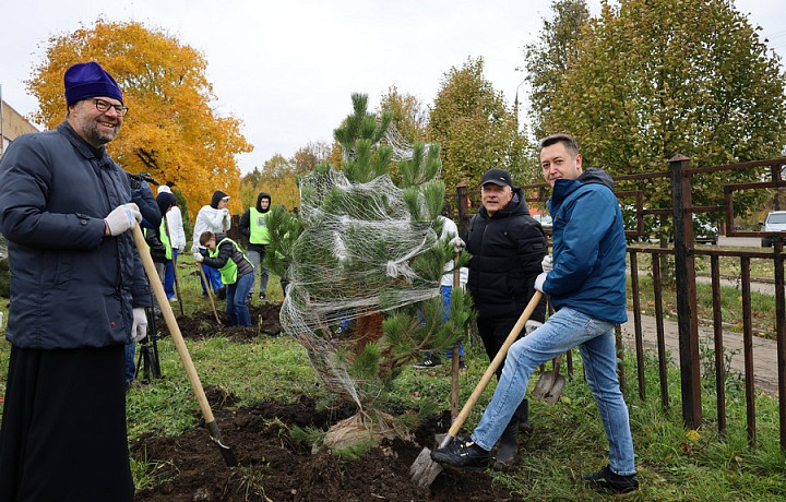 В Новомосковске высадили саженцы сосны и сирени у детской больницы