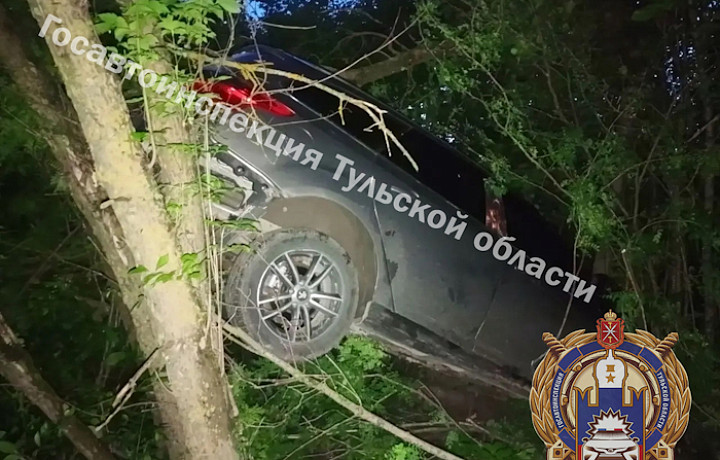 Нетрезвая женщина на иномарке слетела в кювет и врезалась в дерево под Тулой