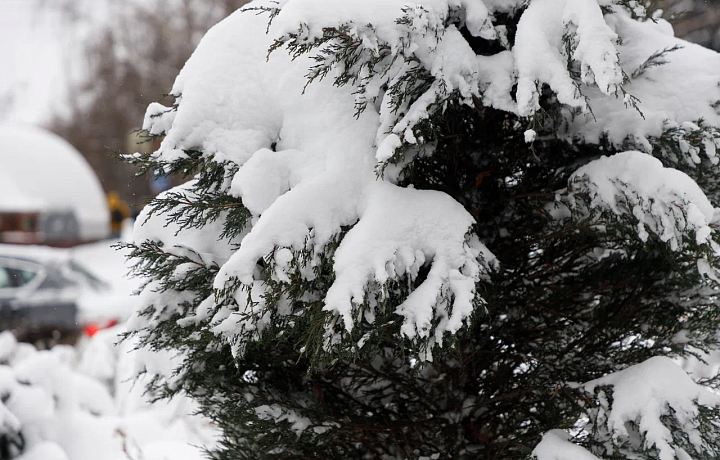 Пасмурно и до -17 градусов: погода в Туле на 23 января