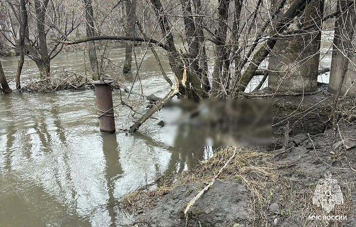 Из Упы в Пролетарском округе Тулы достали тело 52-летнего мужчины