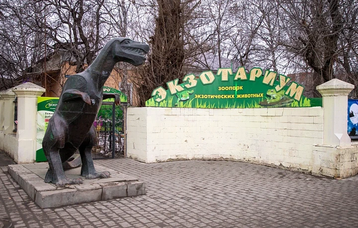 Директор тульского экзотариума Моисеева рассказала о судьбе старого здания на улице Октябрьской