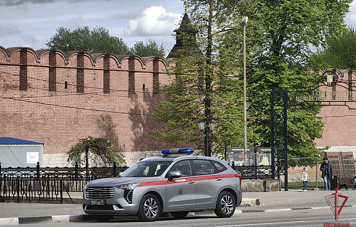 Росгвардия Тульской области пресекла 30 правонарушений за неделю