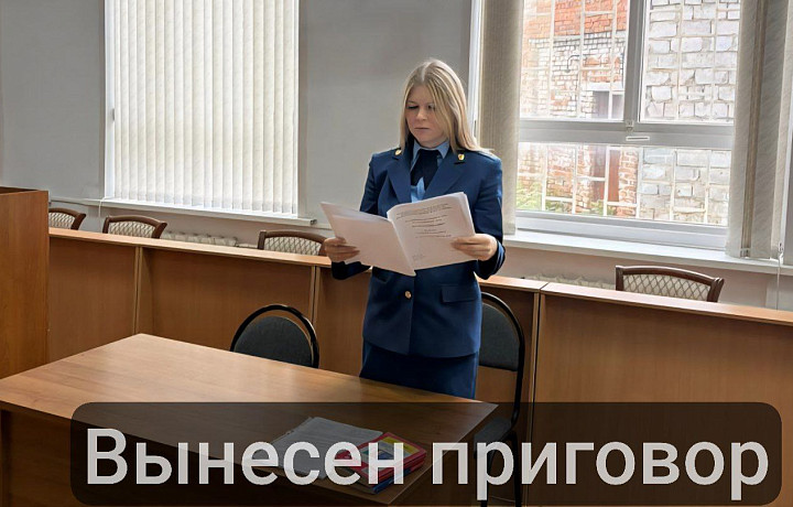 Гендиректора тульского эко-курорта «Золотой город» оштрафовали за падение скульптуры на шестилетнего ребенка