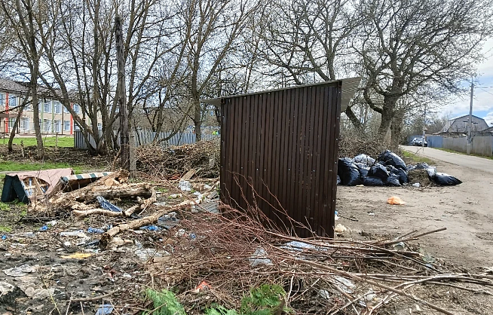 На улице Советской в поселке Куркино выявлена несанкционированная свалка