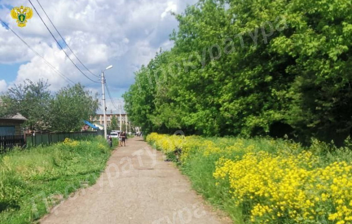 Прокуратура начала проверку по факту ДТП с участием детей в Новомосковске