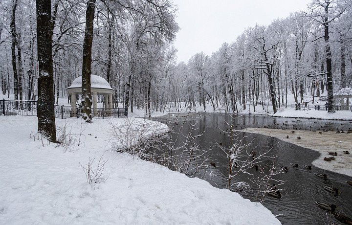 12 января в Туле ожидаются пасмурная погода и -10 градусов мороза