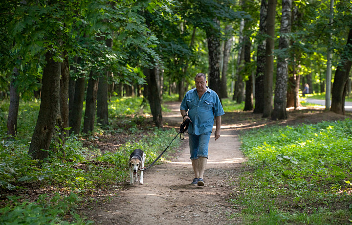 Туляки пожаловались губернатору на отсутствие площадки для выгула собак