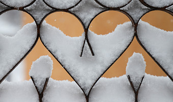 Синоптики рассказали тулякам, когда ждать снежной погоды в регионе